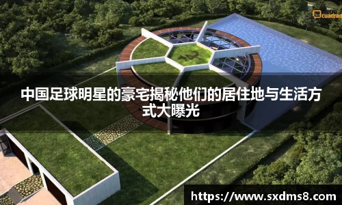 中国足球明星的豪宅揭秘他们的居住地与生活方式大曝光
